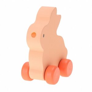 Toy Rabbit Car