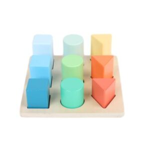 25100-Color and Shape Sorter