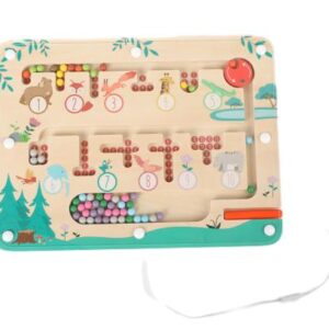 25202-Wooden Magnetic Maze